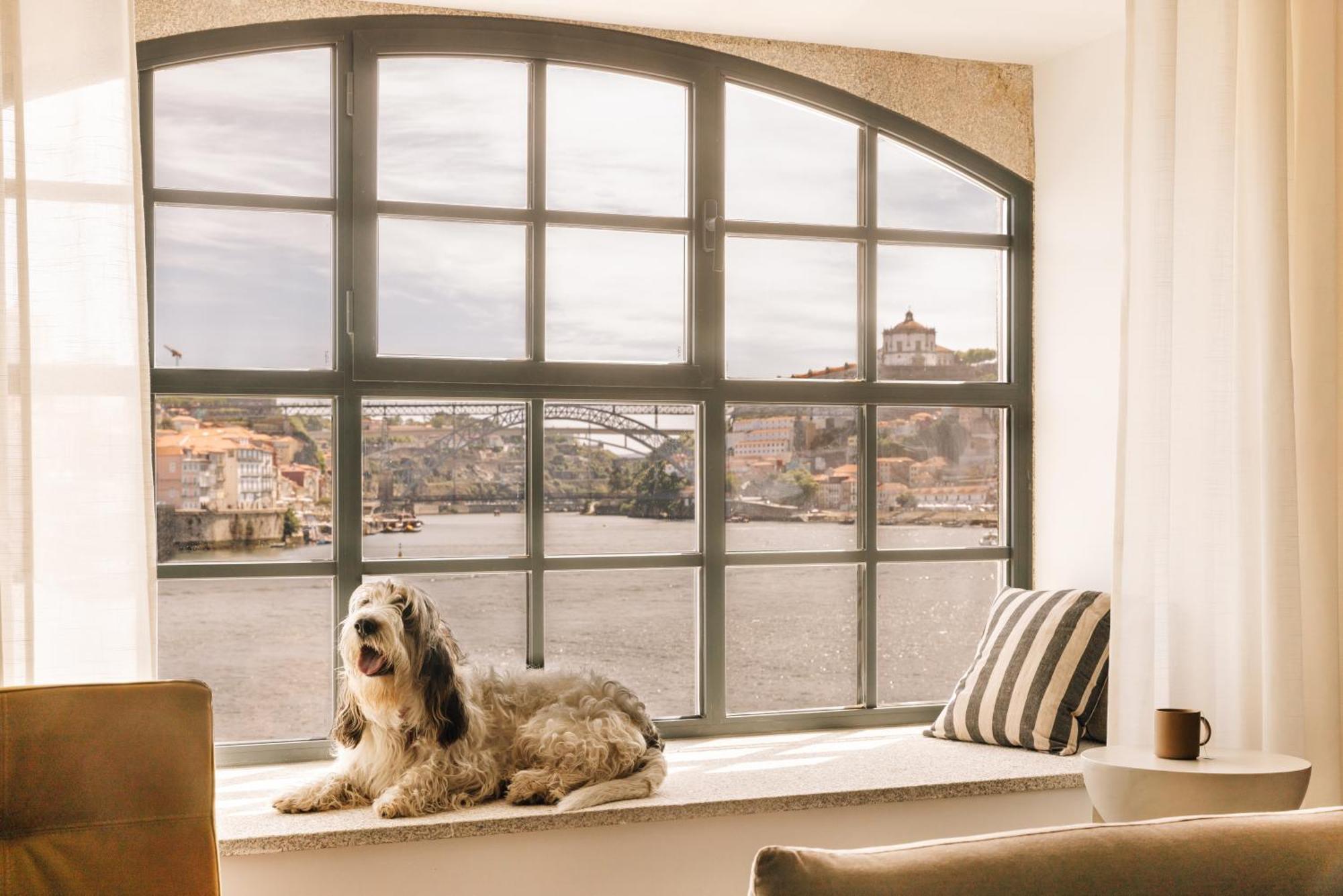 The Rebello Hotel & Spa - Small Luxury Hotels Of The World Vila Nova de Gaia Eksteriør billede A window with a dog